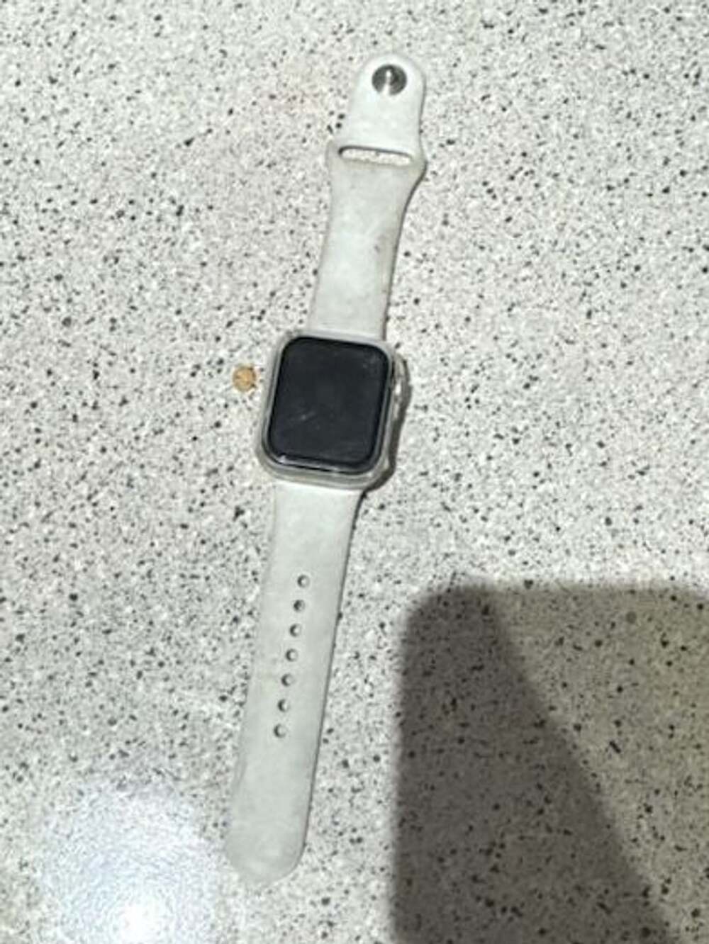 LOCKED Apple Watch SE 40mm Silver Aluminum Case with White Silicone Sport Band